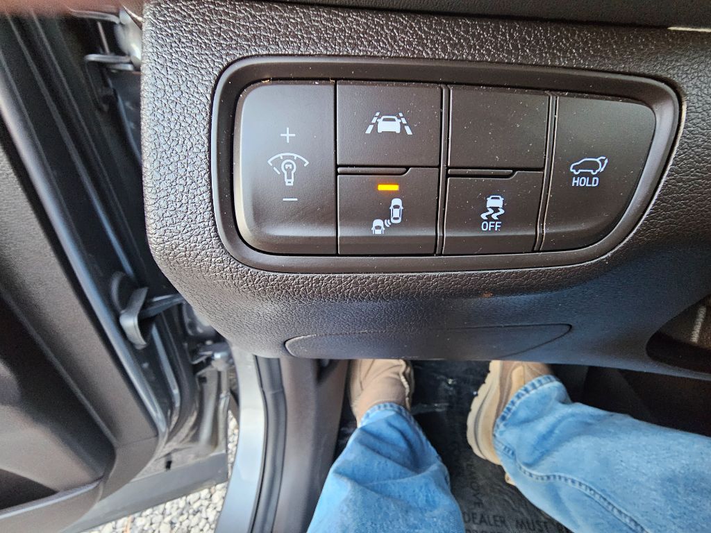 2019 Hyundai Santa Fe Ultimate - Photo 15