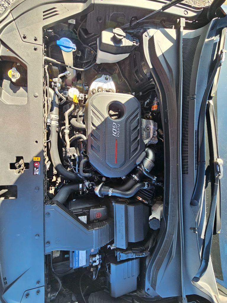 2019 Hyundai Santa Fe Ultimate - Photo 26